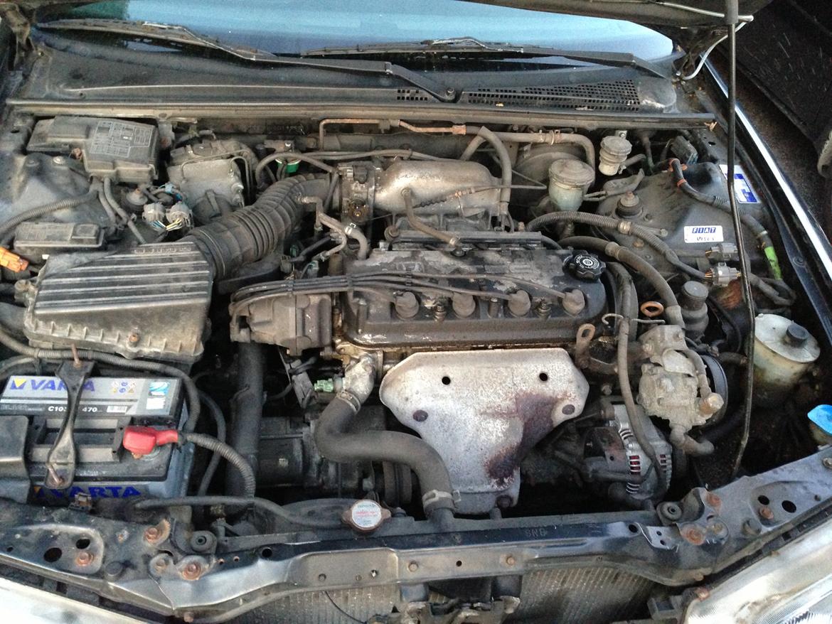 Honda Accord billede 10