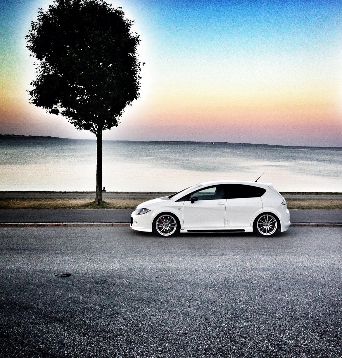 Seat Seat Leon Cupra Solgt billede 18