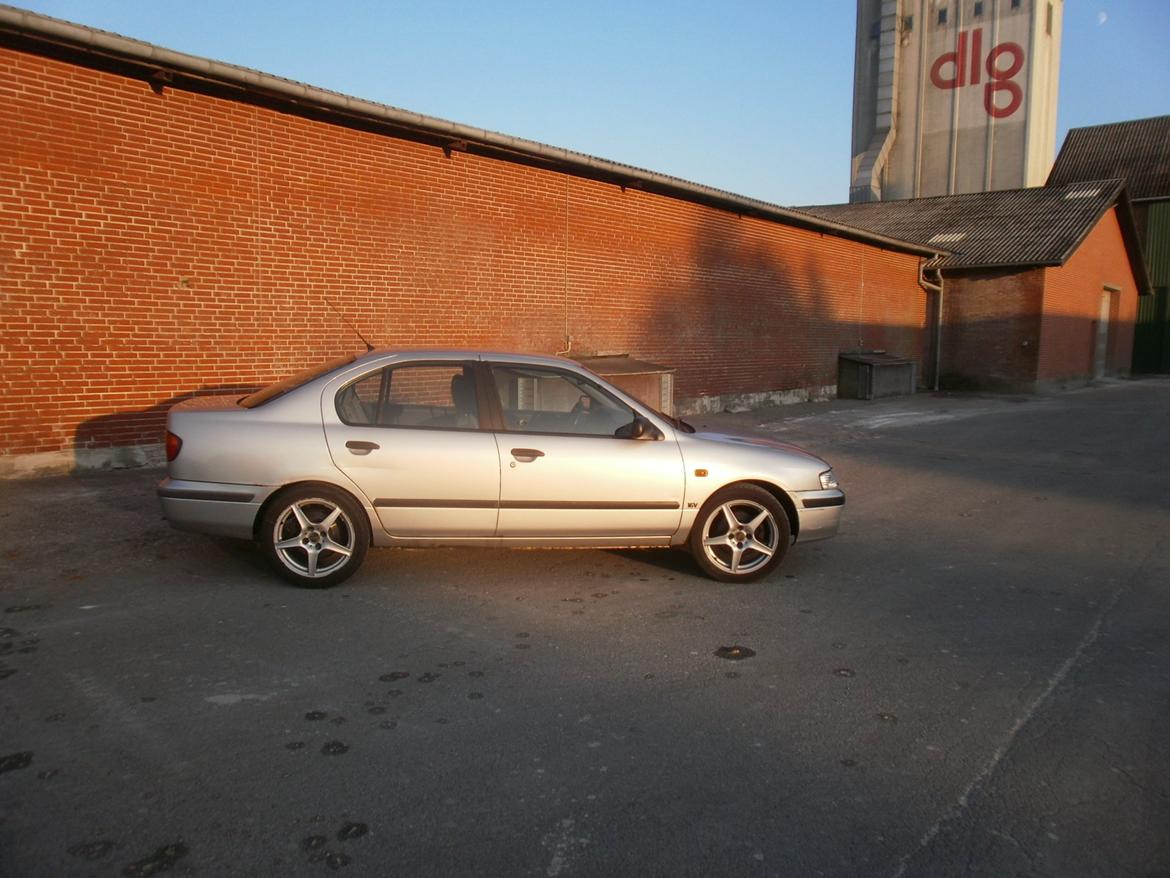 Nissan primera p11 1998