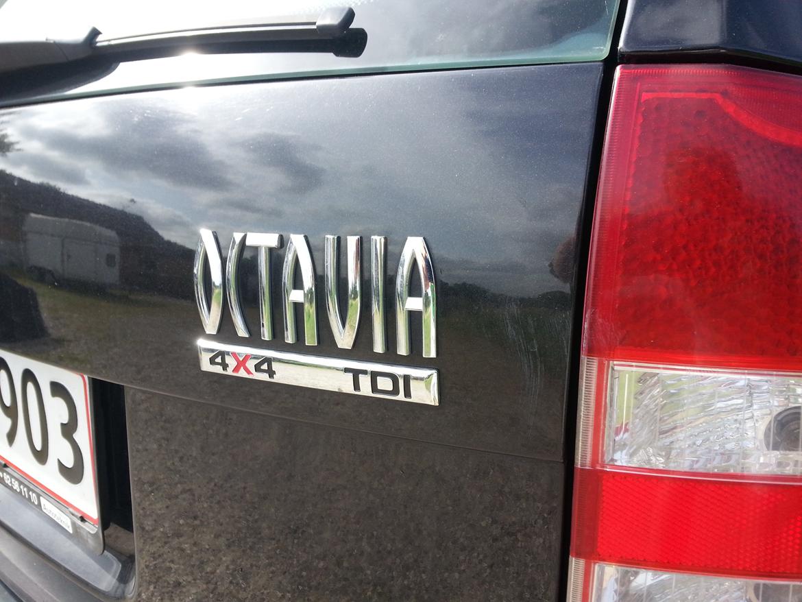 Skoda Octavia 4x4 1,9 TDI Combi billede 1