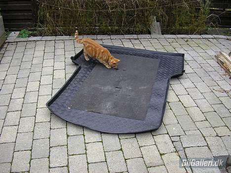 VW Touran 1,9 TDI HIGHLINE  billede 2