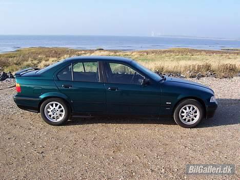 BMW 316i Bavaria E36 (solgt) billede 2