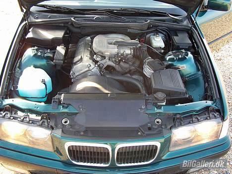 BMW 316i Bavaria E36 (solgt) billede 6