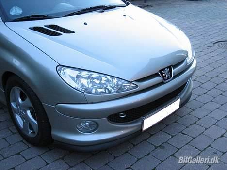 Peugeot 206 SW - Med 406 Coupé underlæbe billede 9