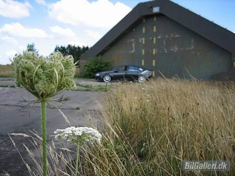 Opel Vectra b - EFTER billede 14