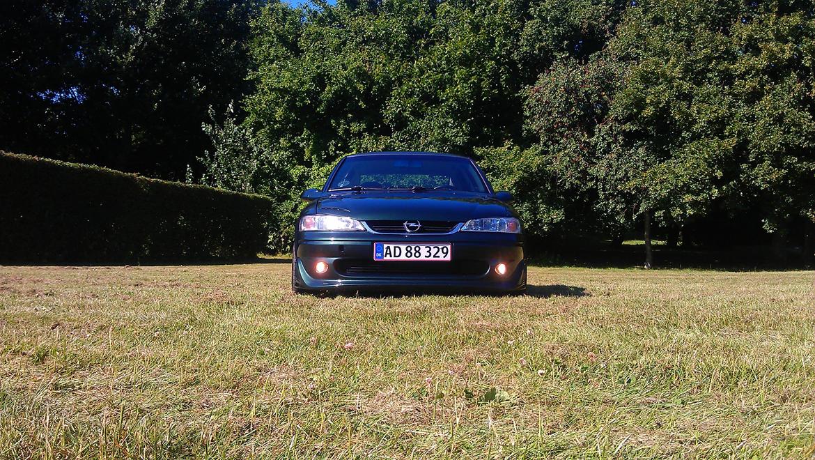 Opel Vectra B V6 i500-R billede 3