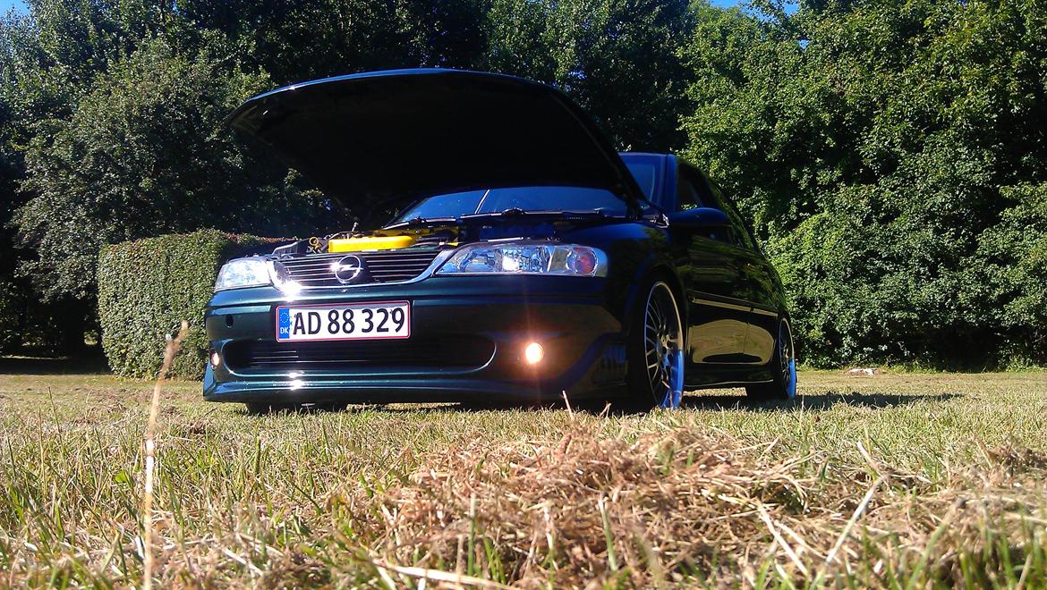 Opel Vectra B V6 i500-R billede 9