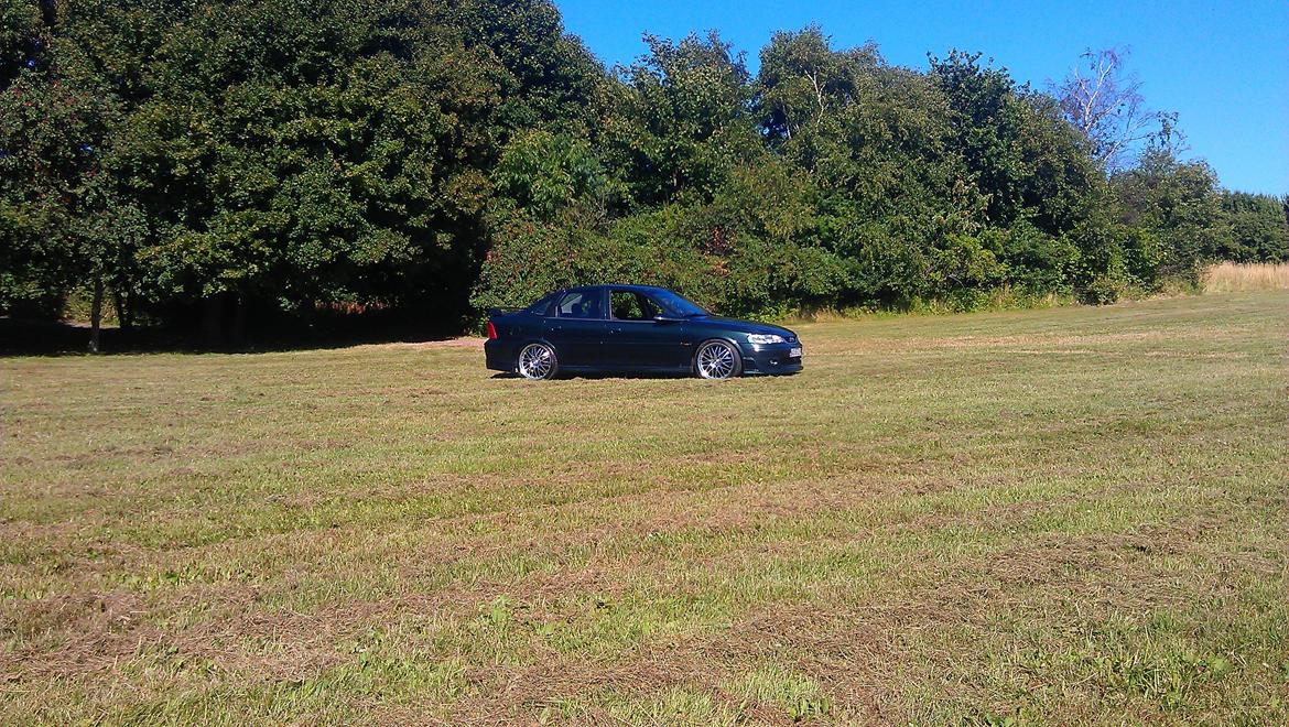 Opel Vectra B V6 i500-R billede 15