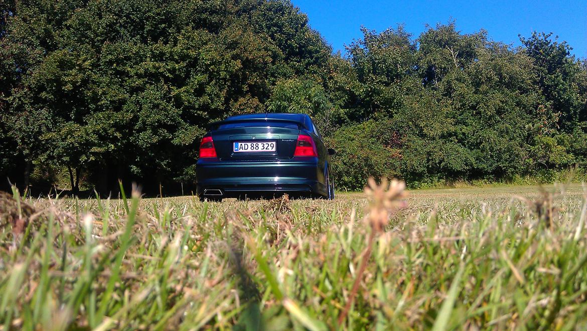 Opel Vectra B V6 i500-R billede 32