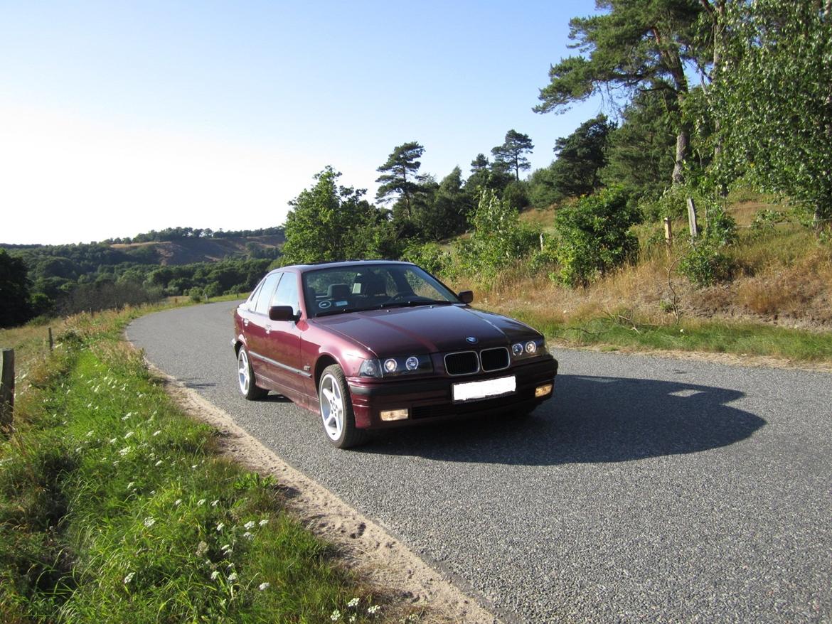BMW 318 TDS (solgt) billede 14
