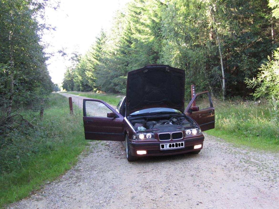 BMW 318 TDS (solgt) billede 17