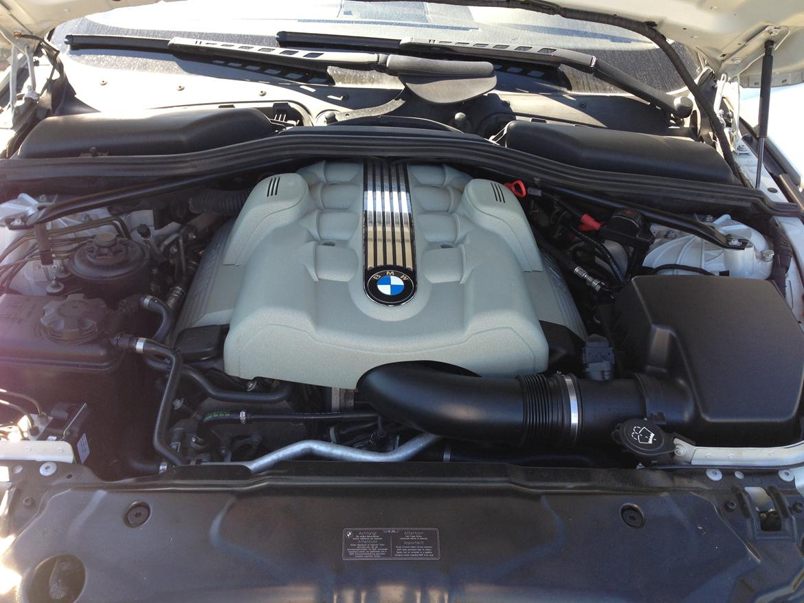 BMW 545i e60 billede 1