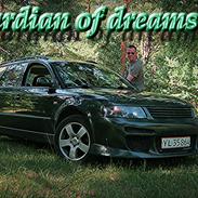 VW Passat 3B Variant 1,8i 20V GAURDIAN OF DREAMS