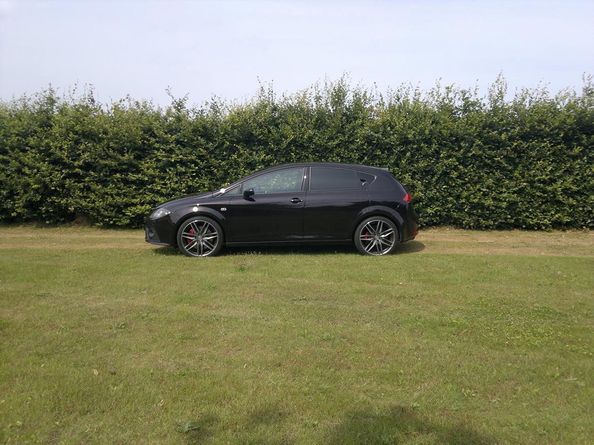 Seat Leon Cupra (solgt) - Efter montering af solfilm billede 4