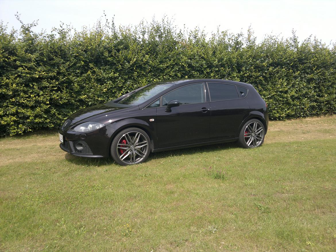 Seat Leon Cupra (solgt) - Efter montering af solfilm billede 2