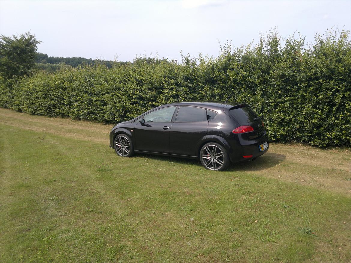 Seat Leon Cupra (solgt) - Efter montering af solfilm billede 5