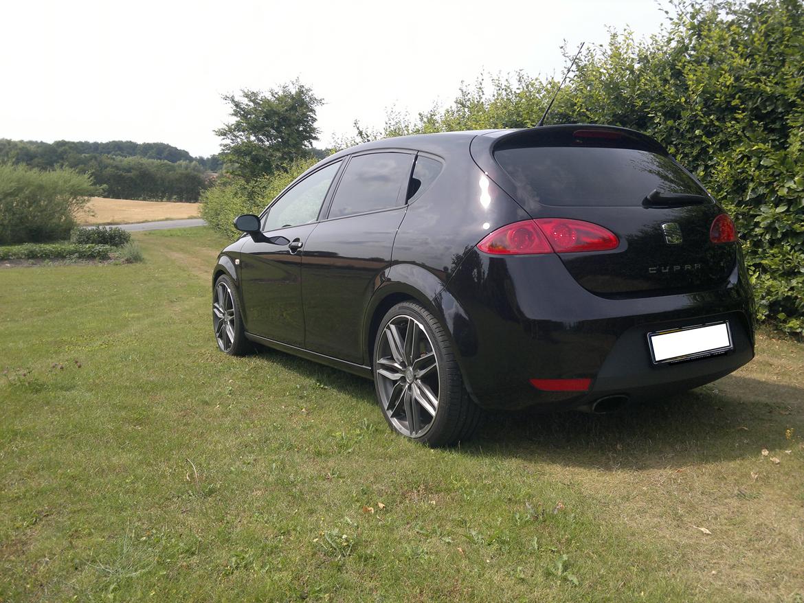 Seat Leon Cupra (solgt) - Efter montering af solfilm billede 3