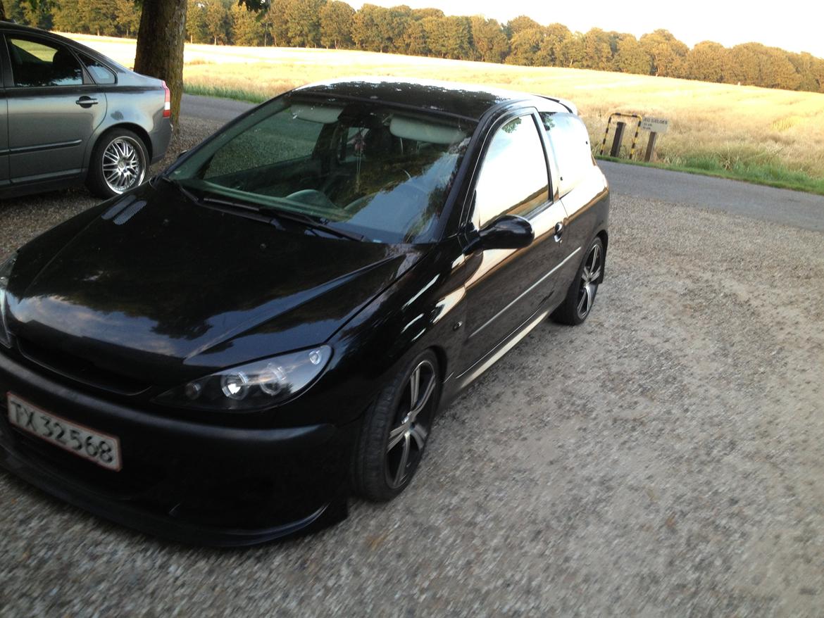Peugeot 206 gti billede 27