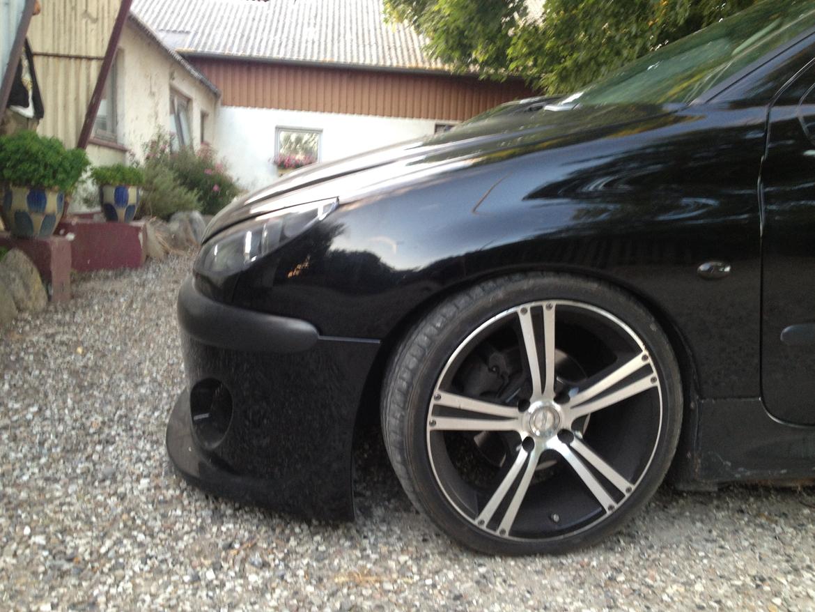 Peugeot 206 gti billede 28