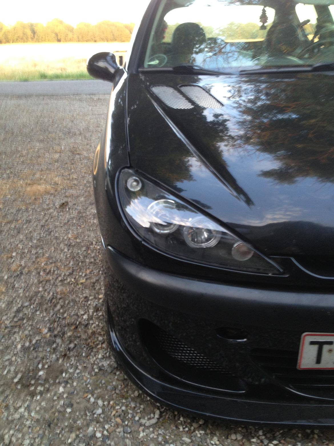 Peugeot 206 gti billede 29