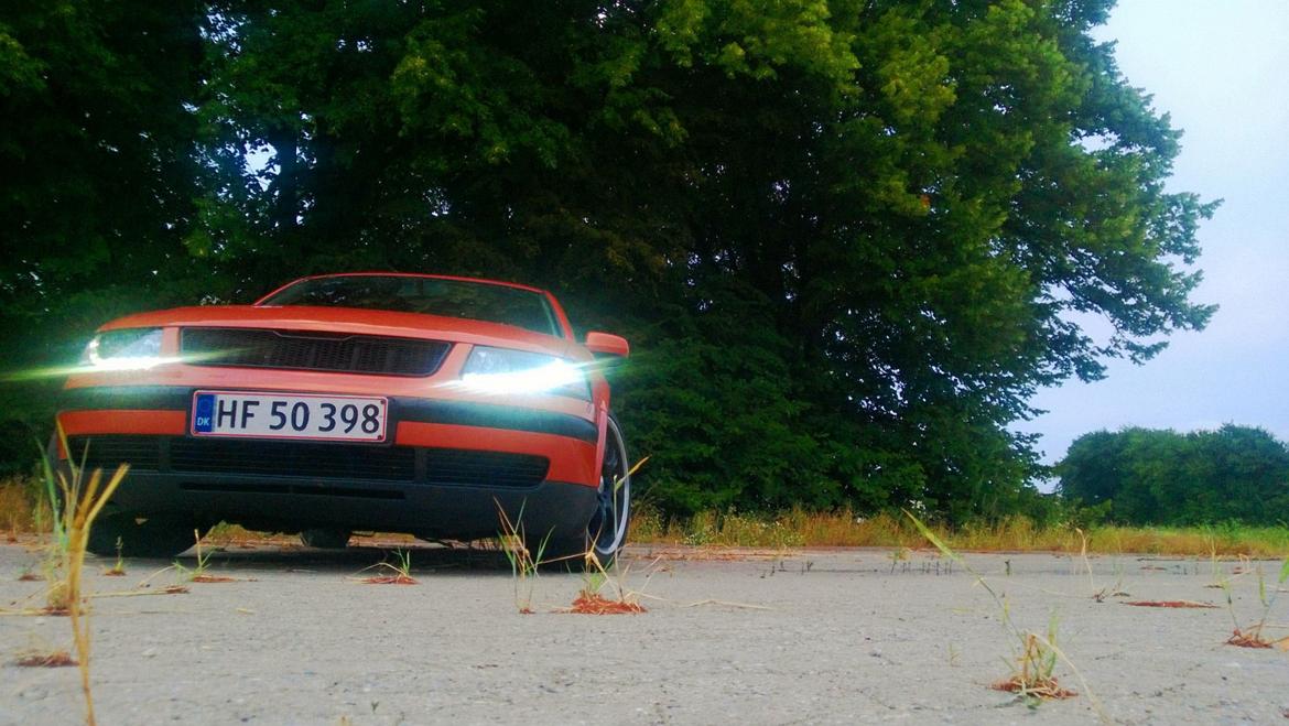 VW passat 3b limo billede 2