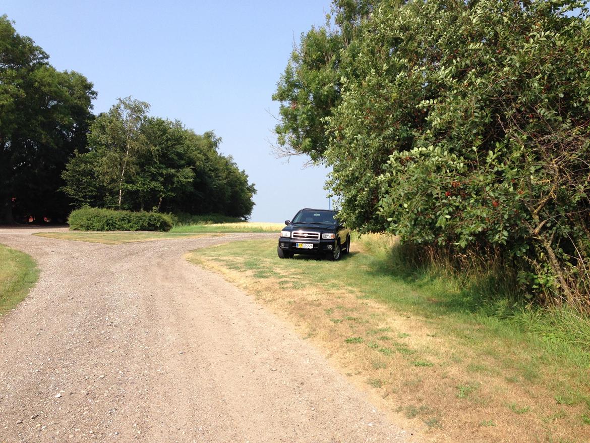 Nissan Pathfinder 3,3 V6 4x4 (BYTTET) billede 17