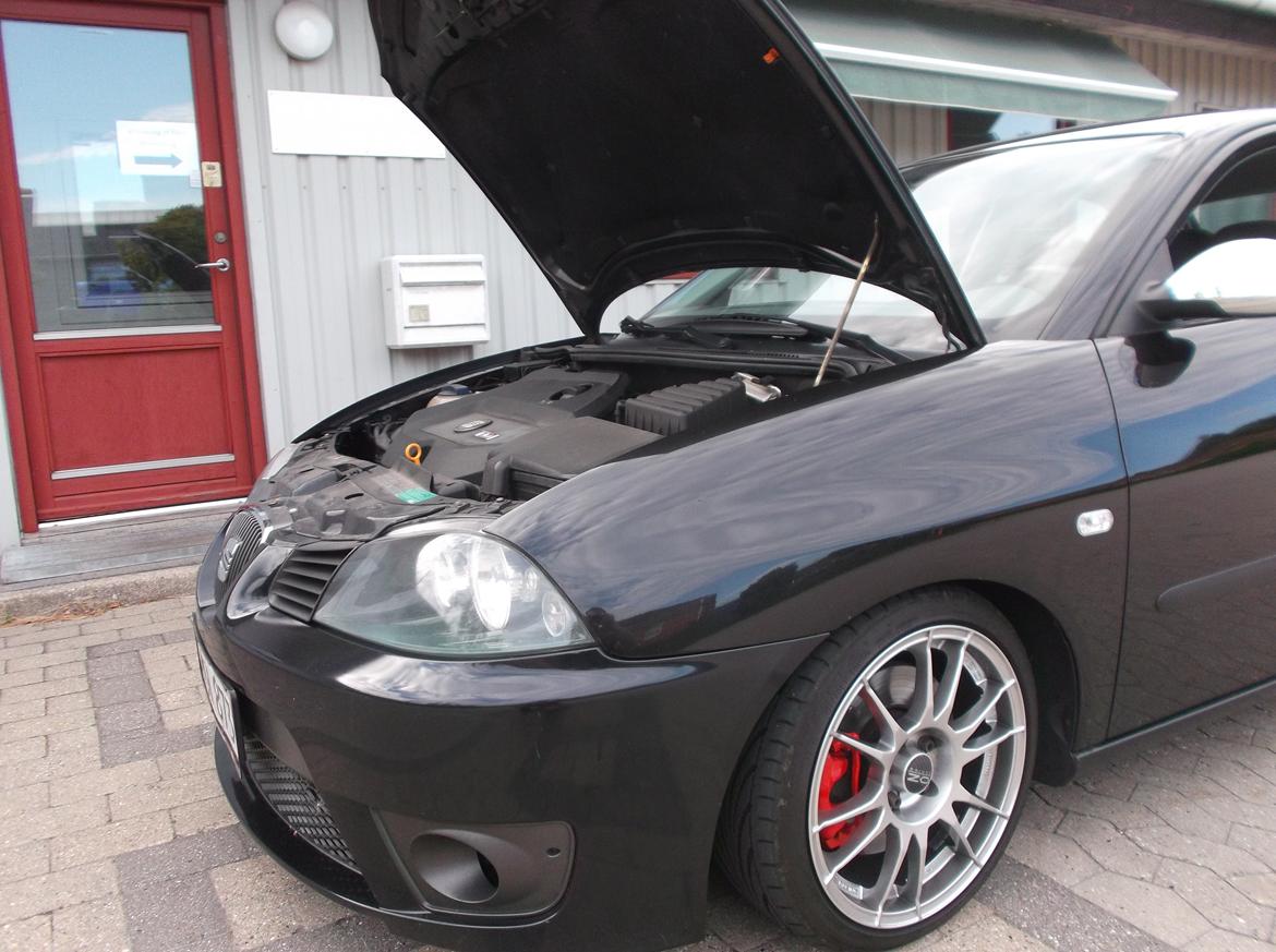 Seat Ibiza 6l - Solgt billede 10