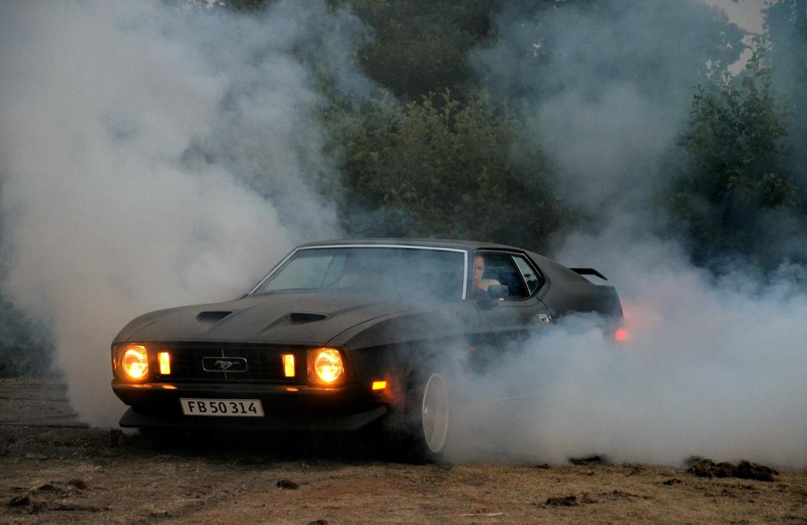 Ford Mustang billede 1