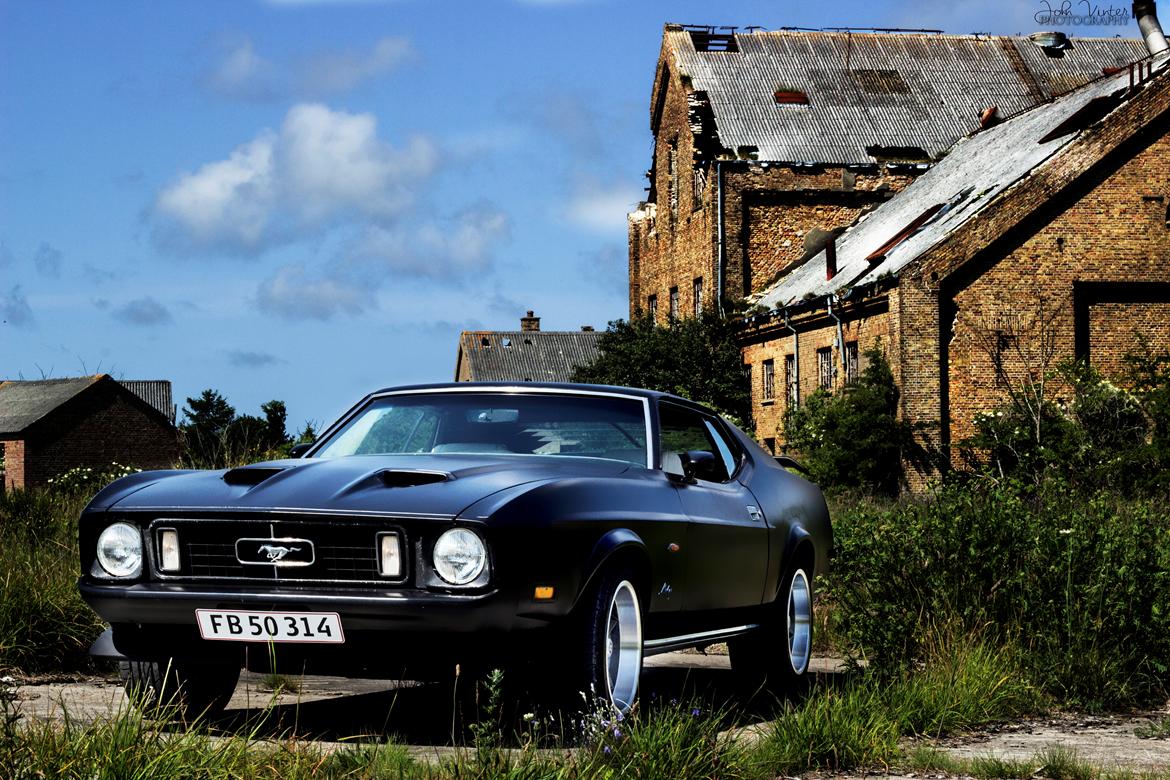 Ford Mustang billede 2