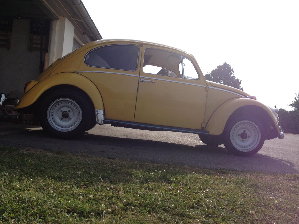 VW bobbel billede 16