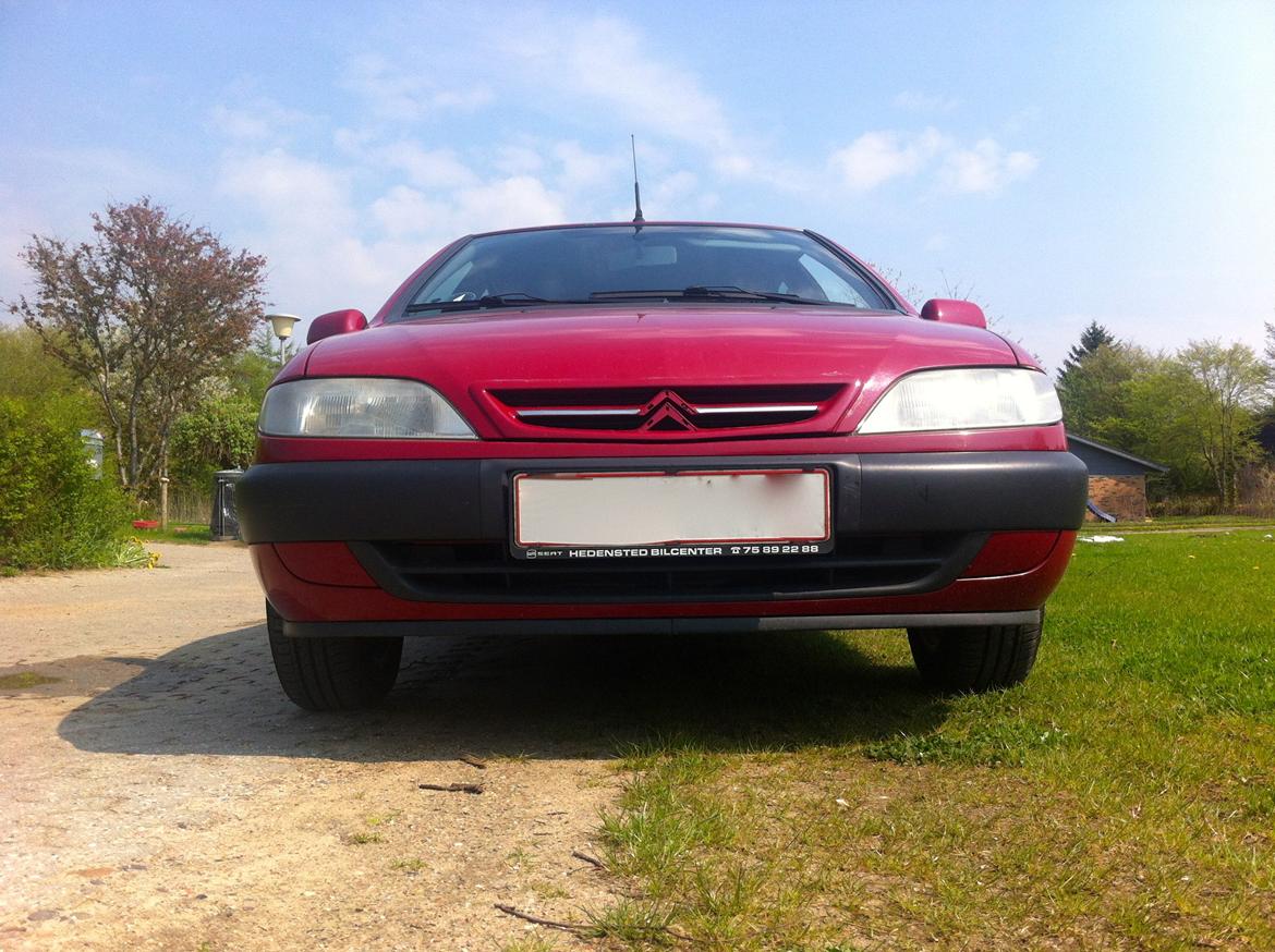 Citroën Xsara 1,6i (Død) billede 2