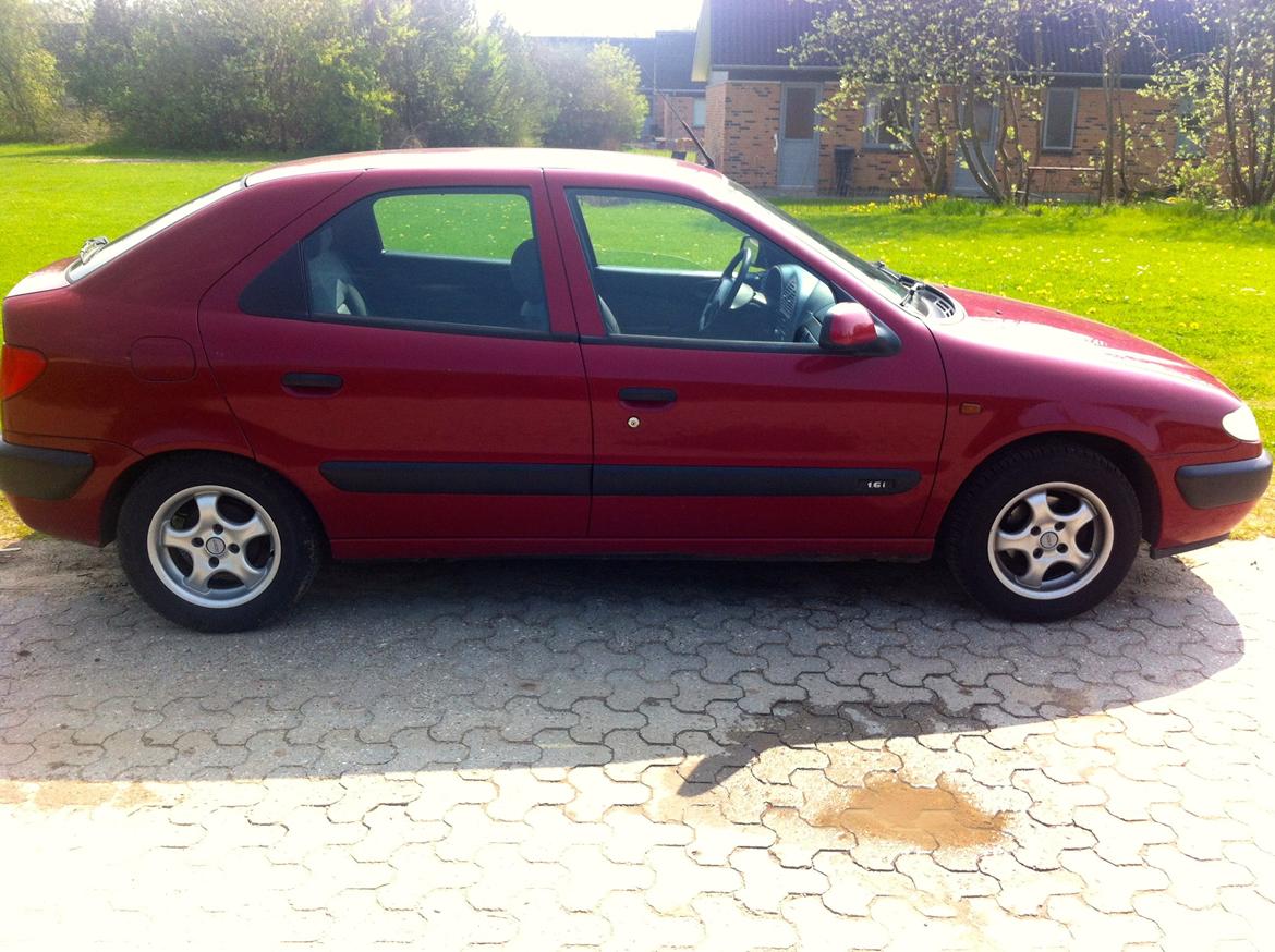 Citroën Xsara 1,6i (Død) billede 3