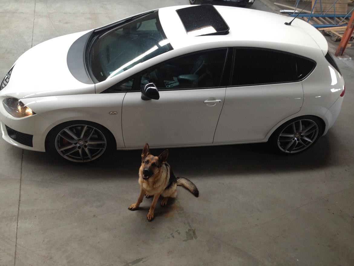 Seat Leon cupra R billede 7