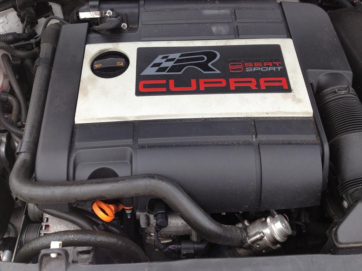 Seat Leon cupra R billede 8