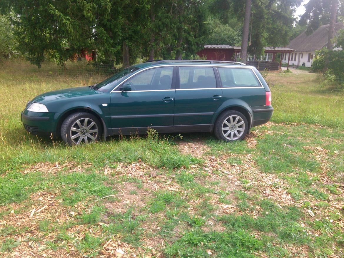 VW passat B5 3BG billede 3
