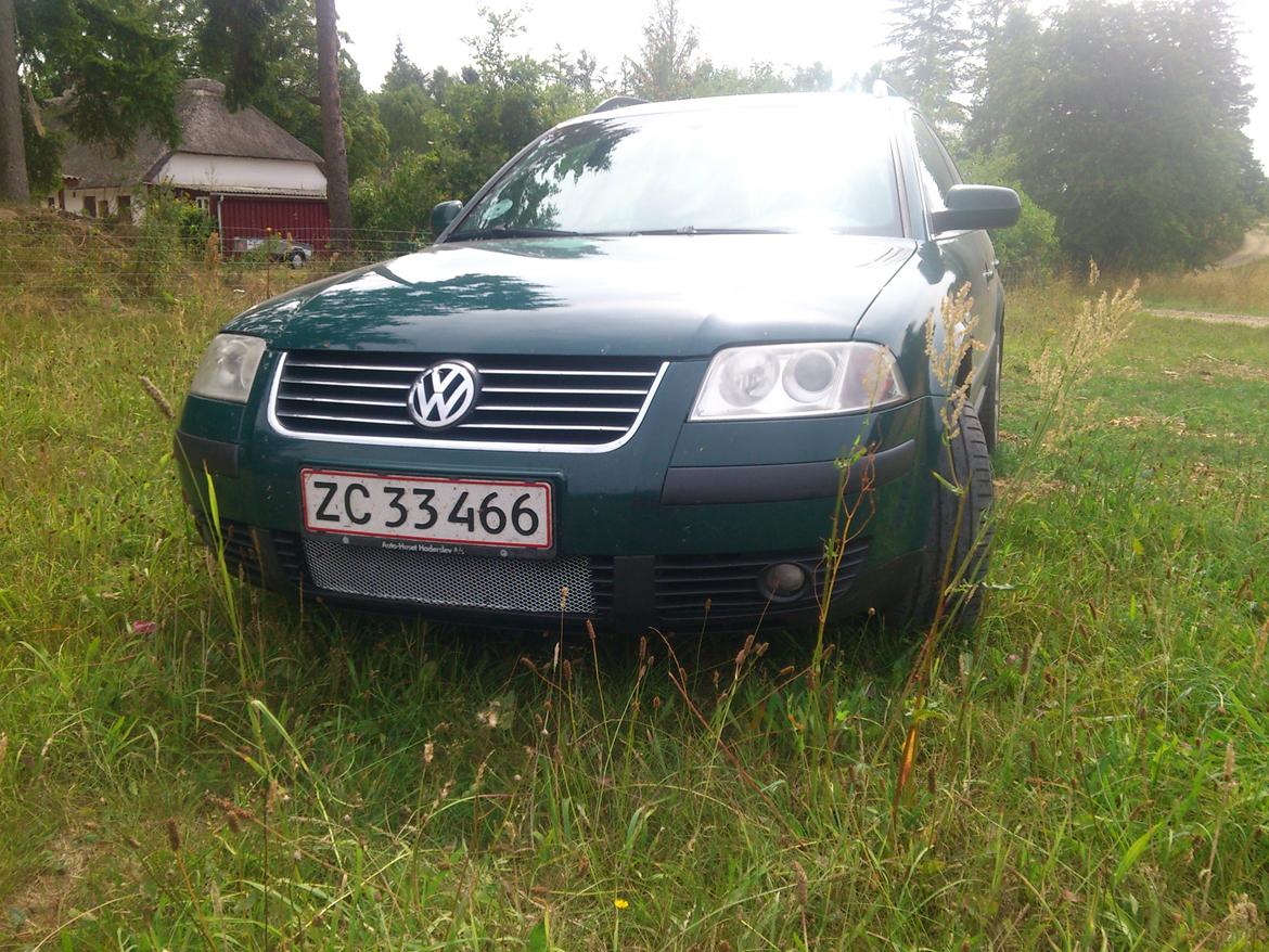 VW passat B5 3BG billede 2