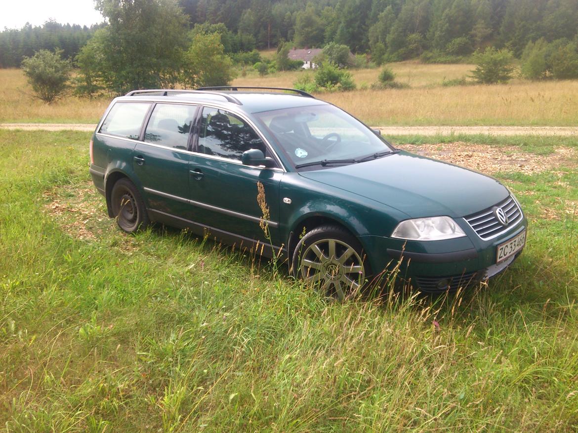 VW passat B5 3BG billede 6