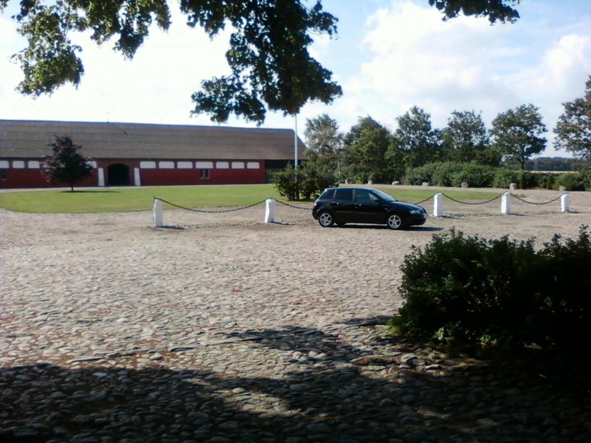 Fiat Stilo billede 1