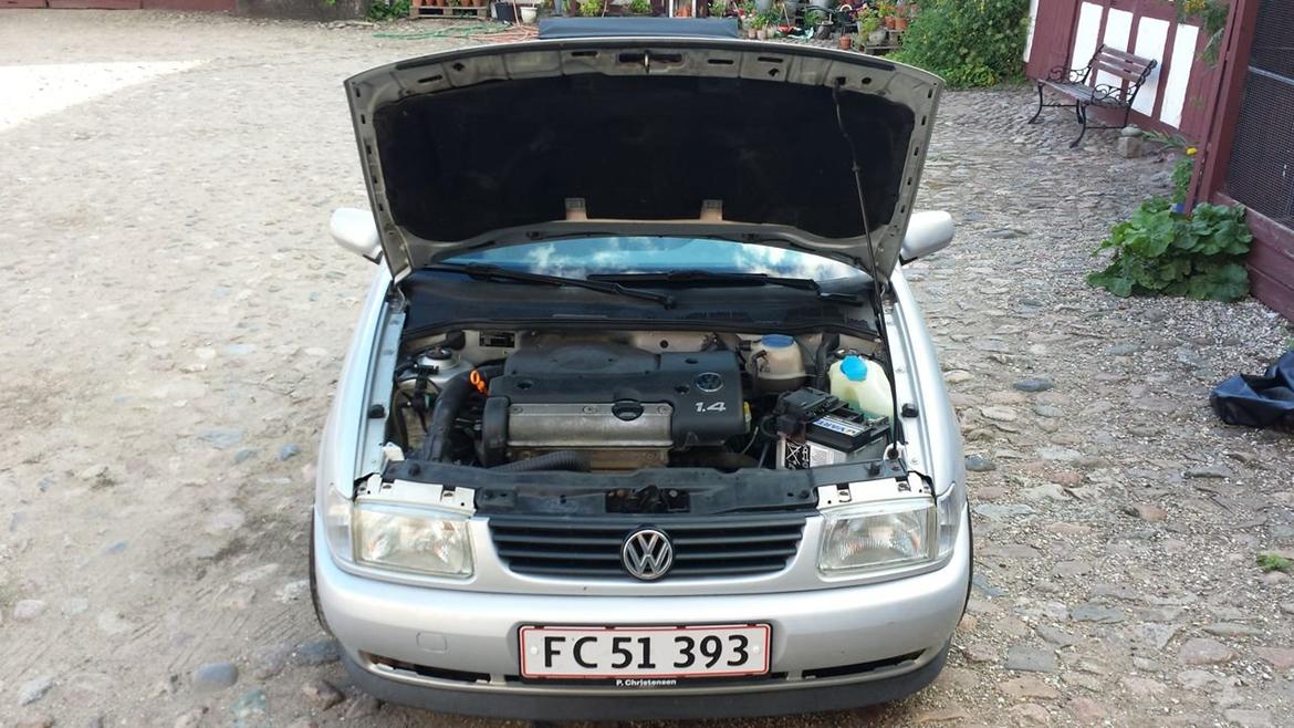 VW Polo 6N Open Air billede 11