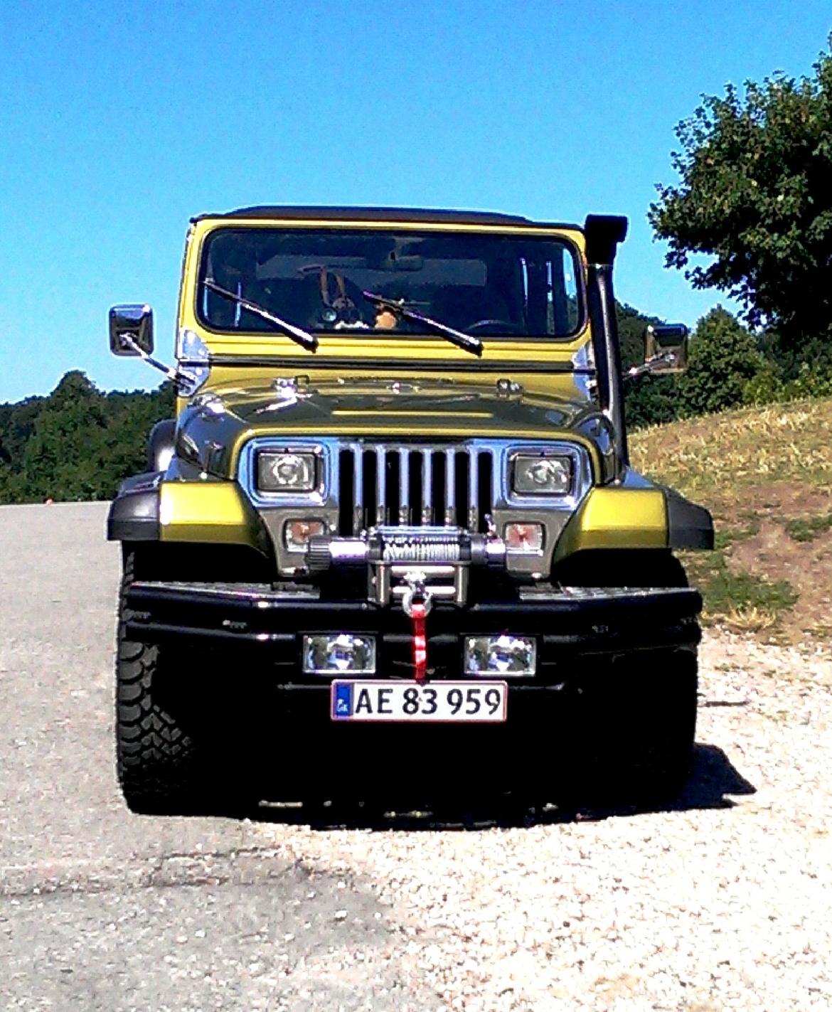 Jeep Wrangler hard/softtop billede 1