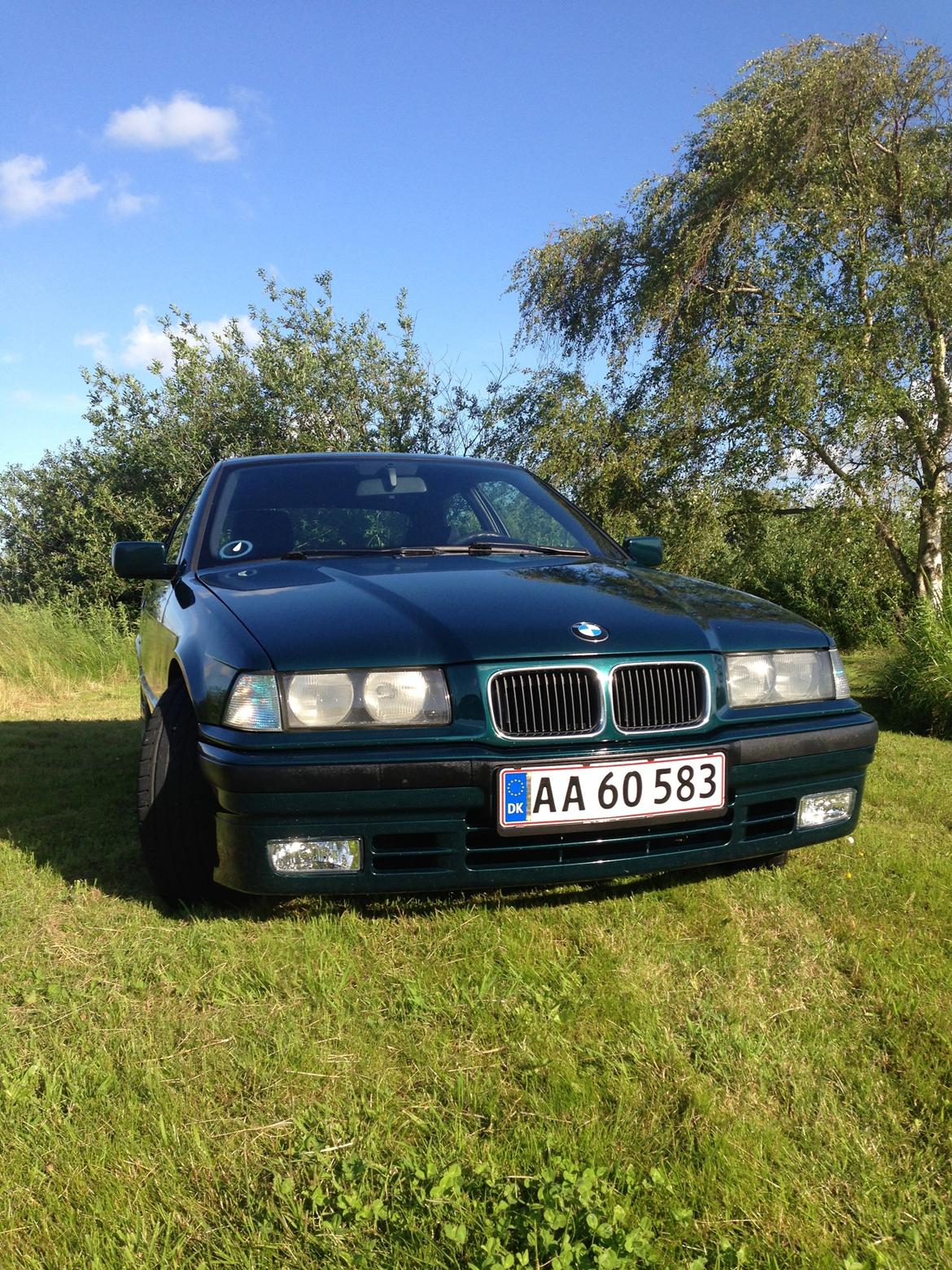 BMW E36 compact 1,6 billede 7