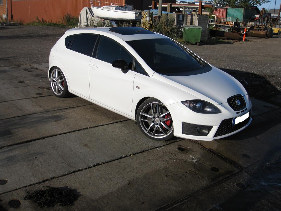 Seat Leon cupra R billede 11