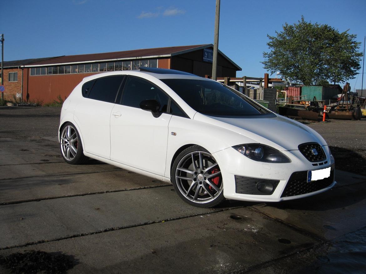Seat Leon cupra R billede 12