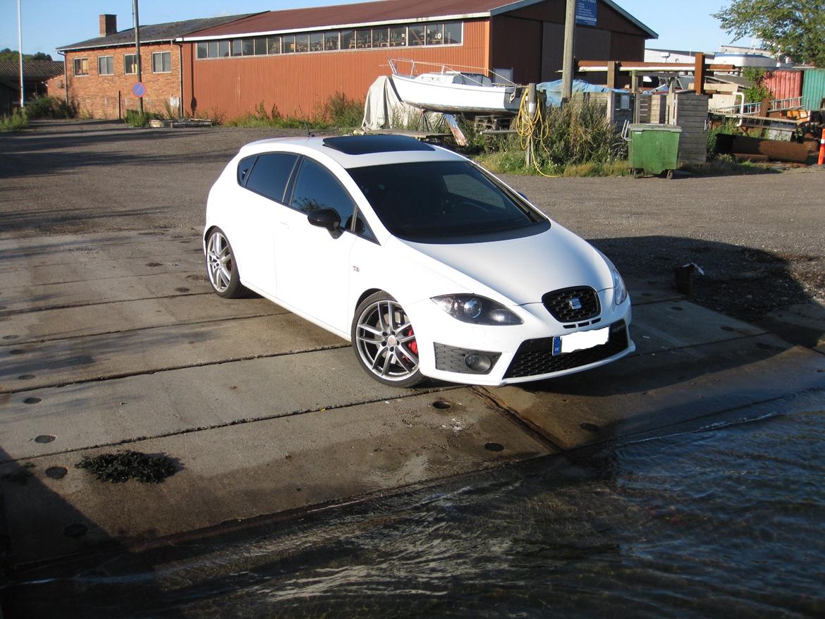Seat Leon cupra R billede 13