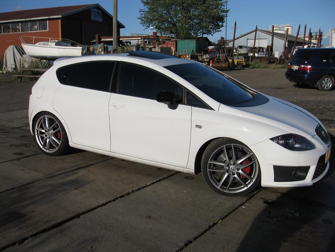 Seat Leon cupra R billede 14