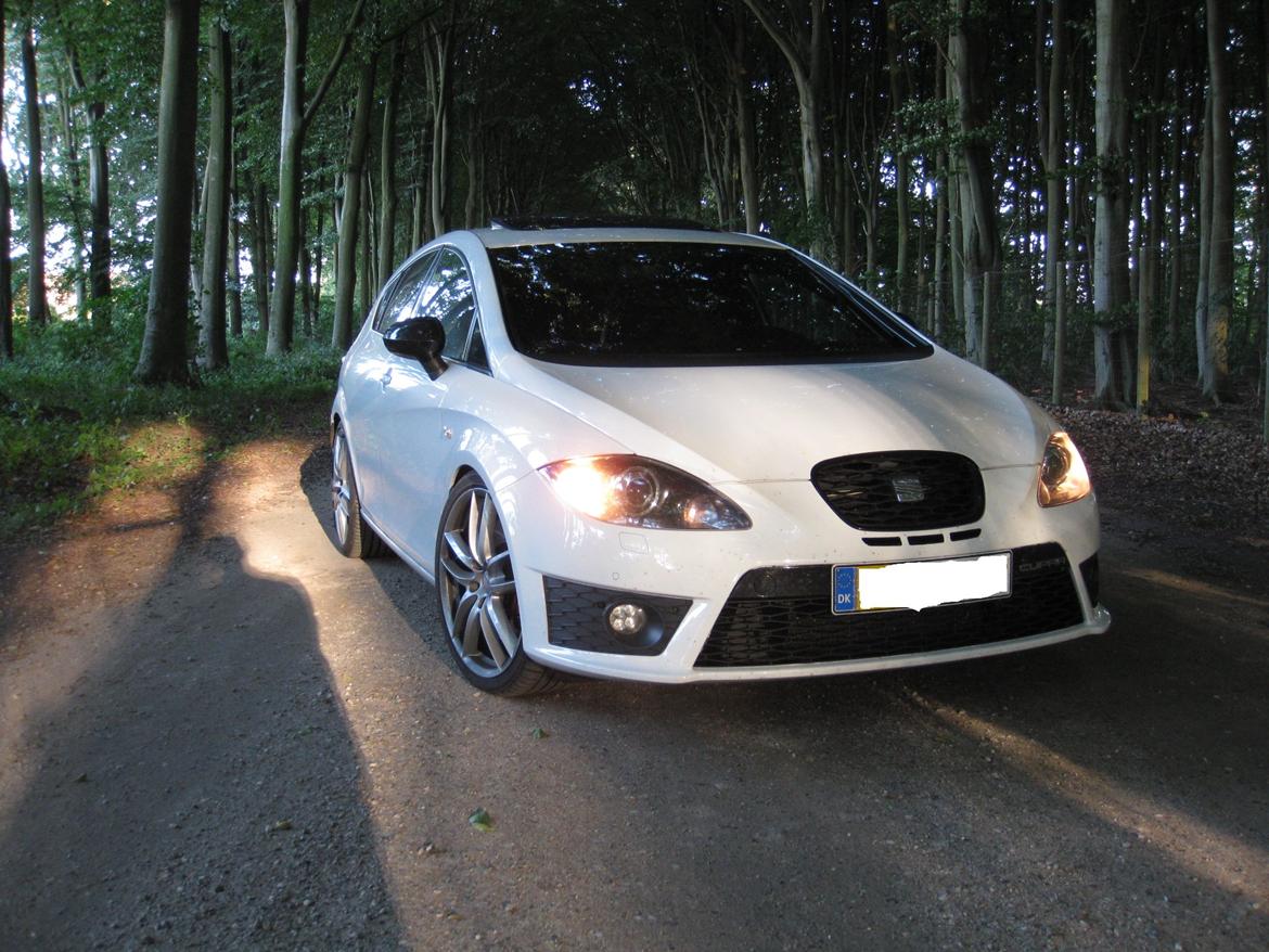 Seat Leon cupra R billede 16