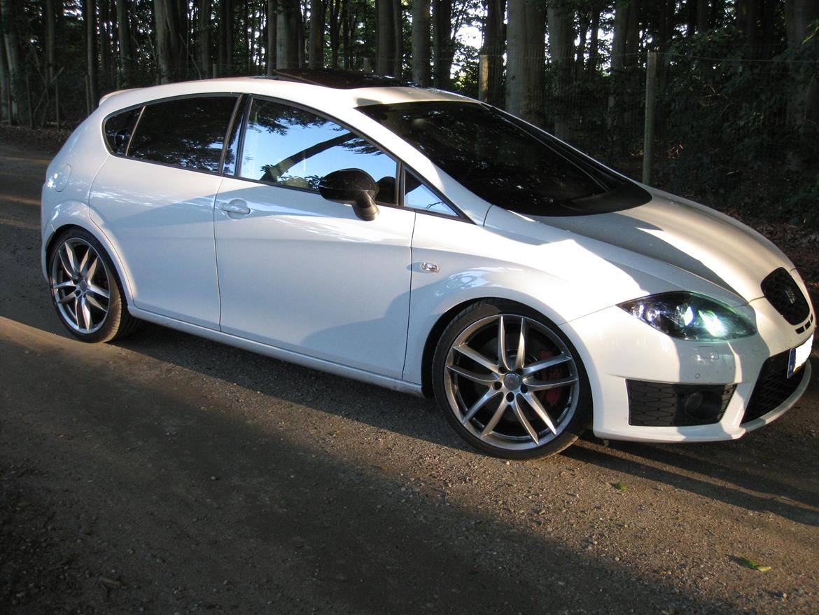Seat Leon cupra R billede 20