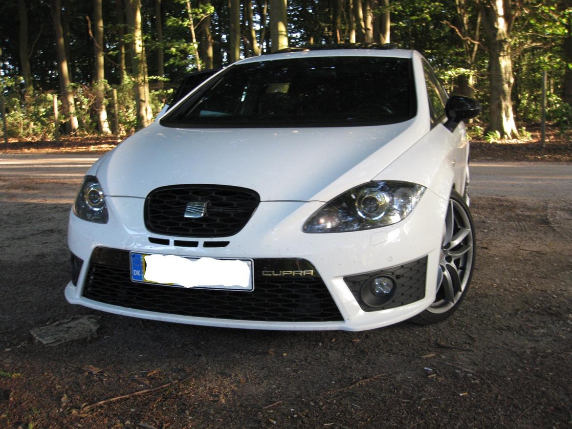 Seat Leon cupra R billede 25