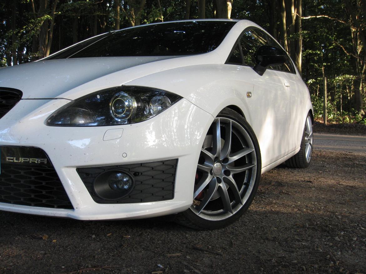Seat Leon cupra R billede 26