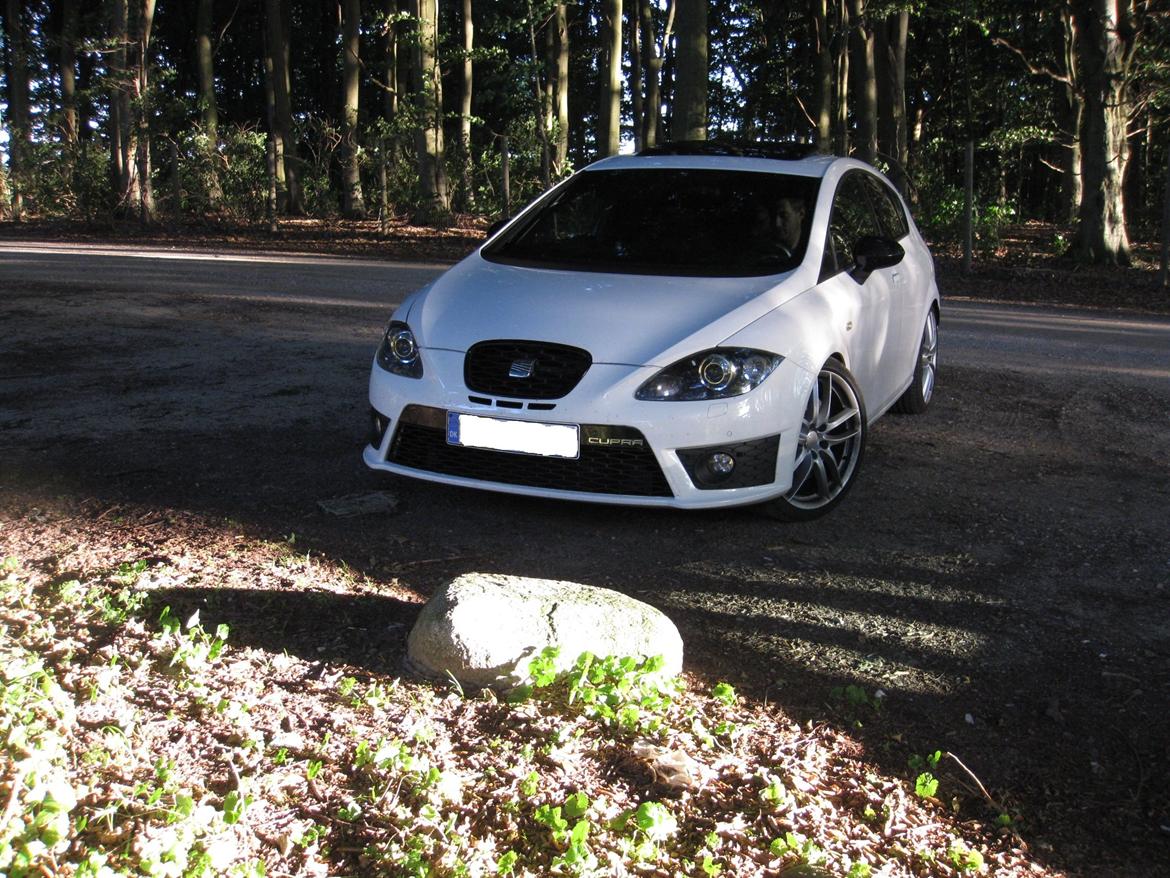 Seat Leon cupra R billede 27